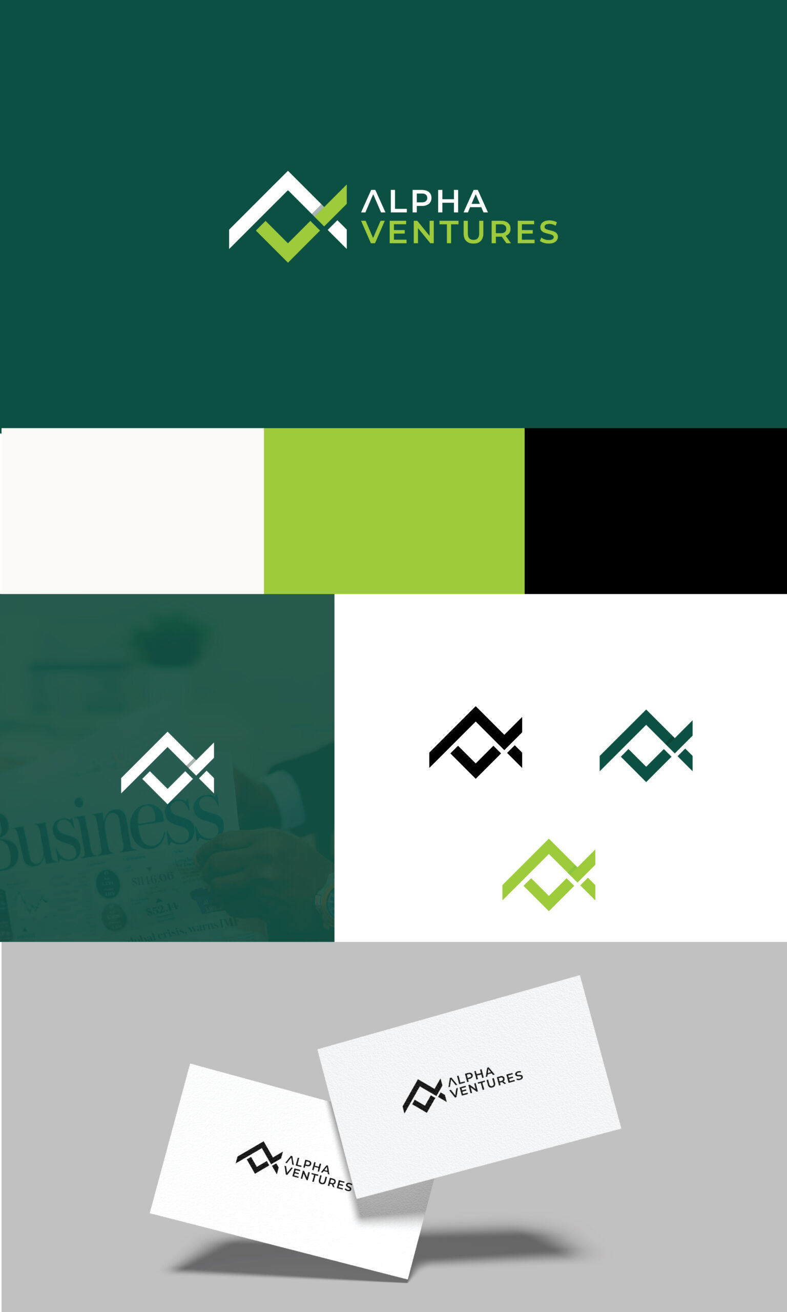 Alpha Ventures Logo Small Business Branding Package